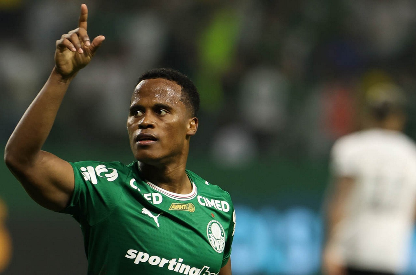 Palmeiras assume liderança do Brasileirão após vitória sobre o Botafogo