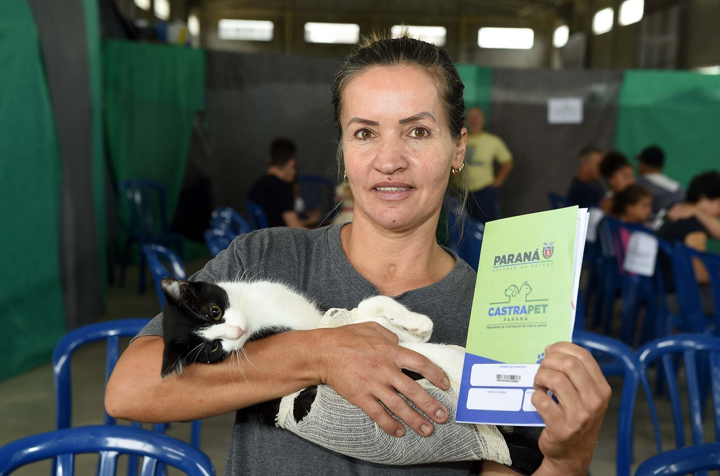Paraná amplia castração de gatos para combater esporotricose