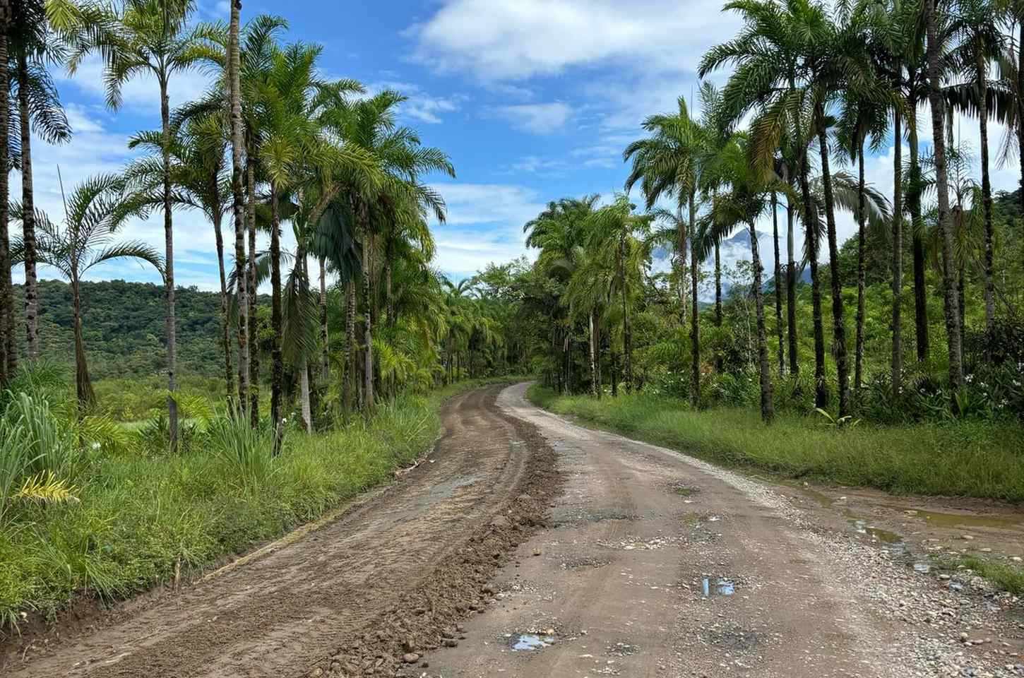 Paraná avança na pavimentação da PR-405 entre Guaraqueçaba e Antonina