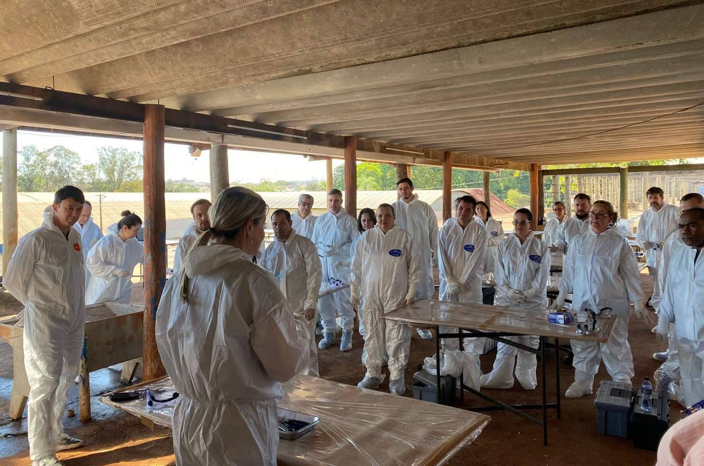 Paraná capacita fiscais para emergências na avicultura