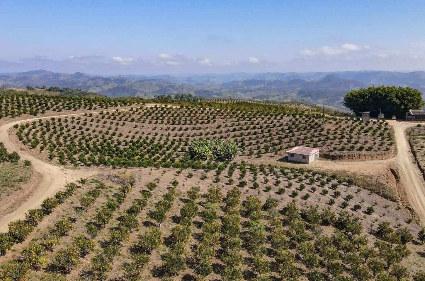 Paraná em números: painel interativo revela força econômica do estado