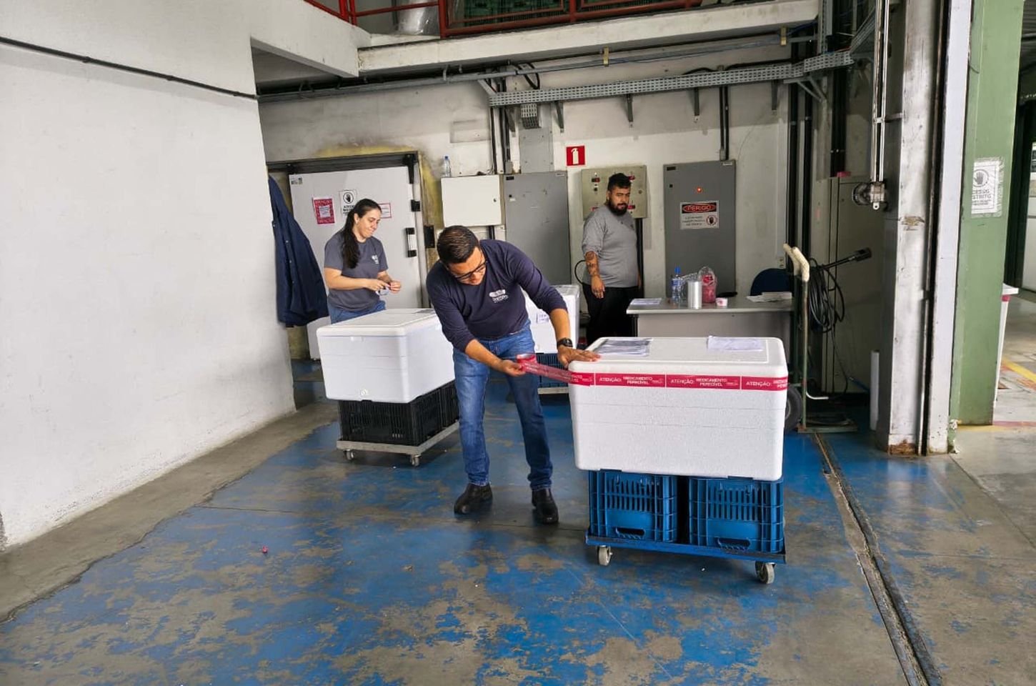 Paraná inicia distribuição de vacina contra VSR para gestantes