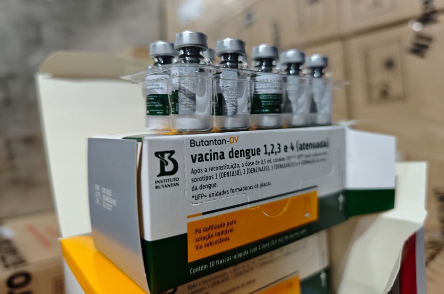 Paraná inicia distribuição de vacina nacional contra dengue para profissionais da saúde