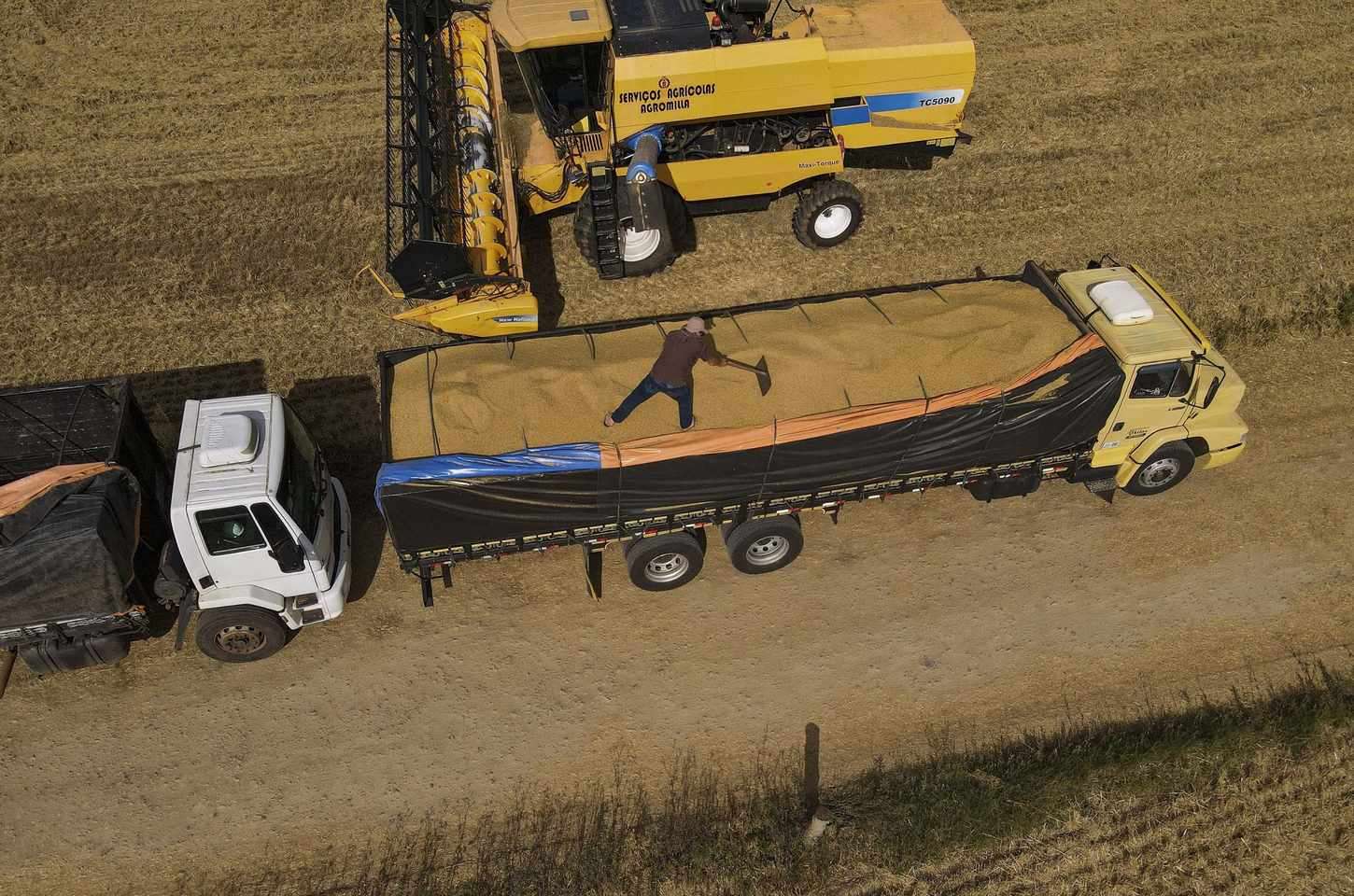 Paraná lidera aumento na produção de grãos do Brasil em novembro
