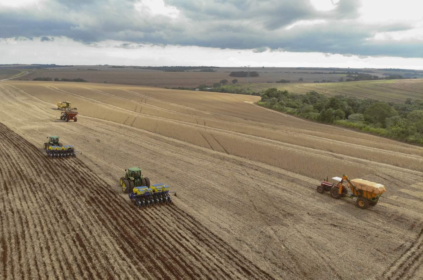 Paraná lidera exportação de aves e mira safra recorde de soja em 2025