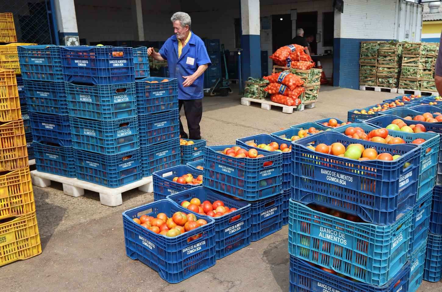 Paraná lidera ranking nacional de municípios com leis de segurança alimentar