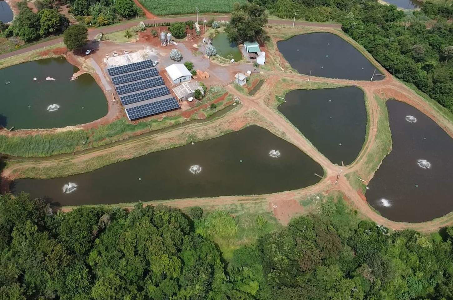 Paraná lidera revolução da energia solar com programa que transforma o campo