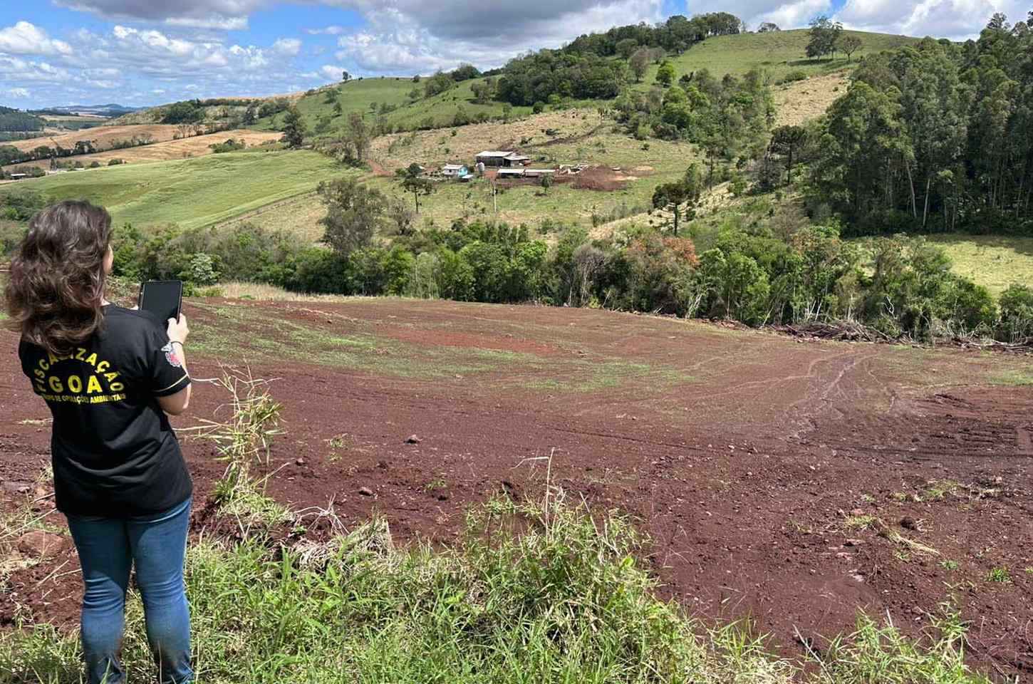 Paraná registra queda de 14,7% em multas ambientais em 2025