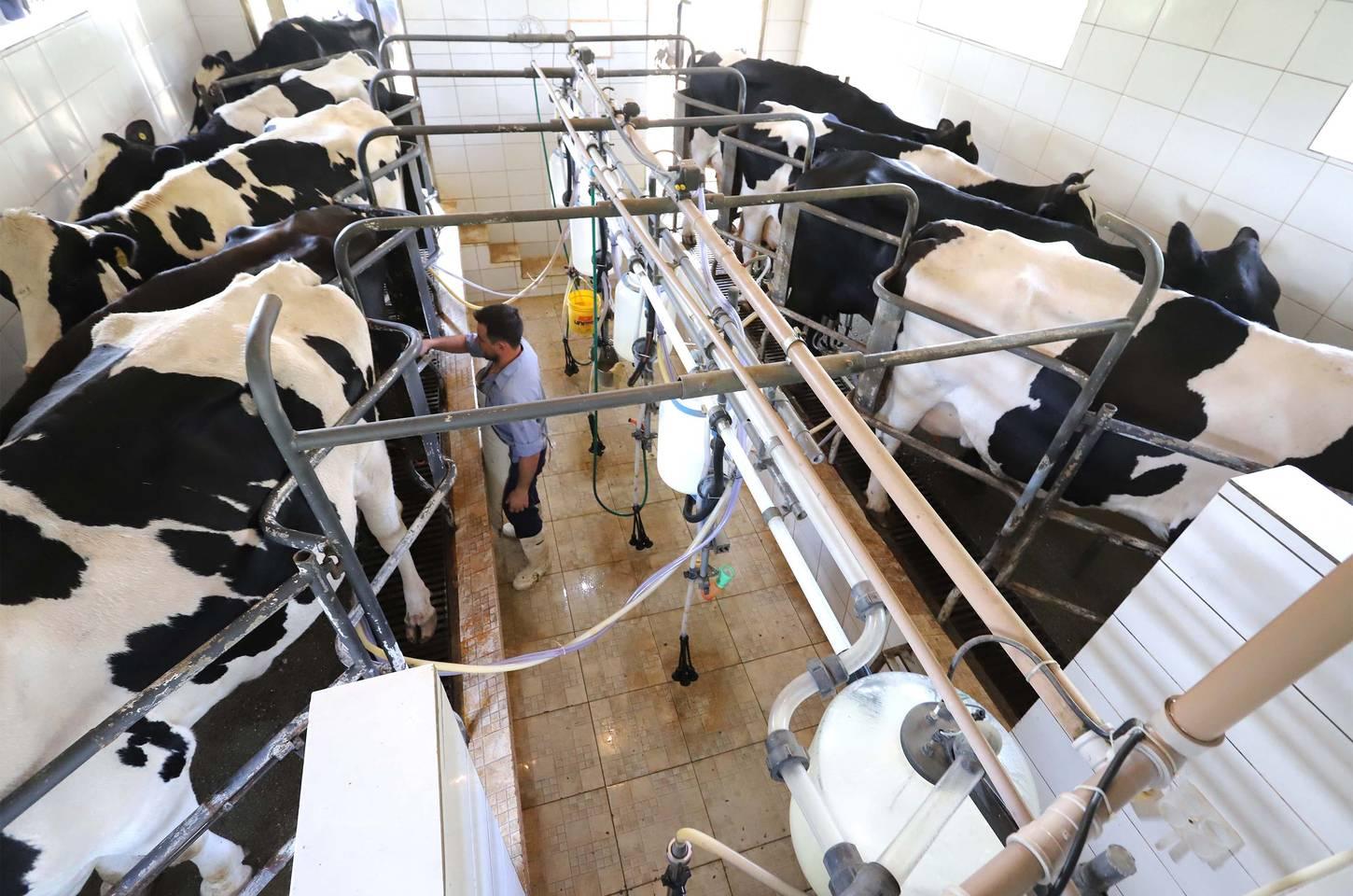 Paraná regulamenta lei que proíbe reconstituição de leite em pó importado