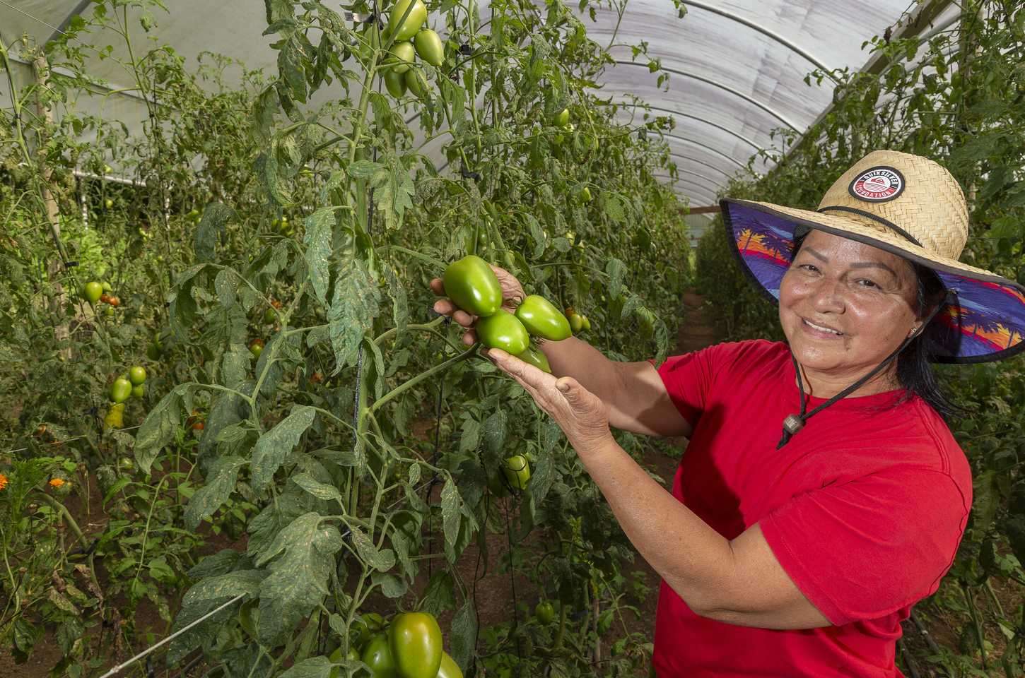 Paraná se consolida como maior produtor de orgânicos do Brasil