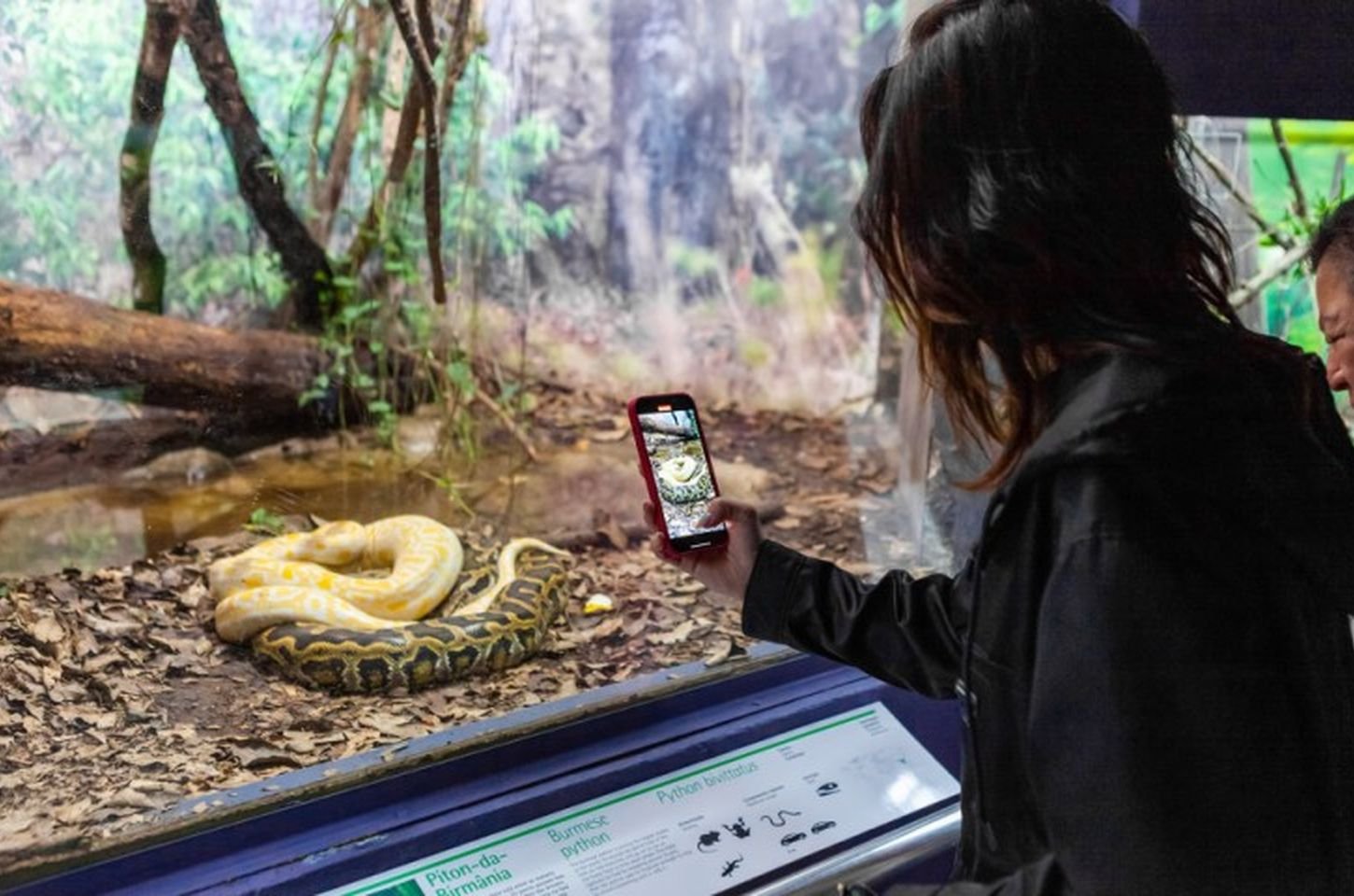 Parque da Ciência celebra 125 anos do Instituto Butantan com programação gratuita