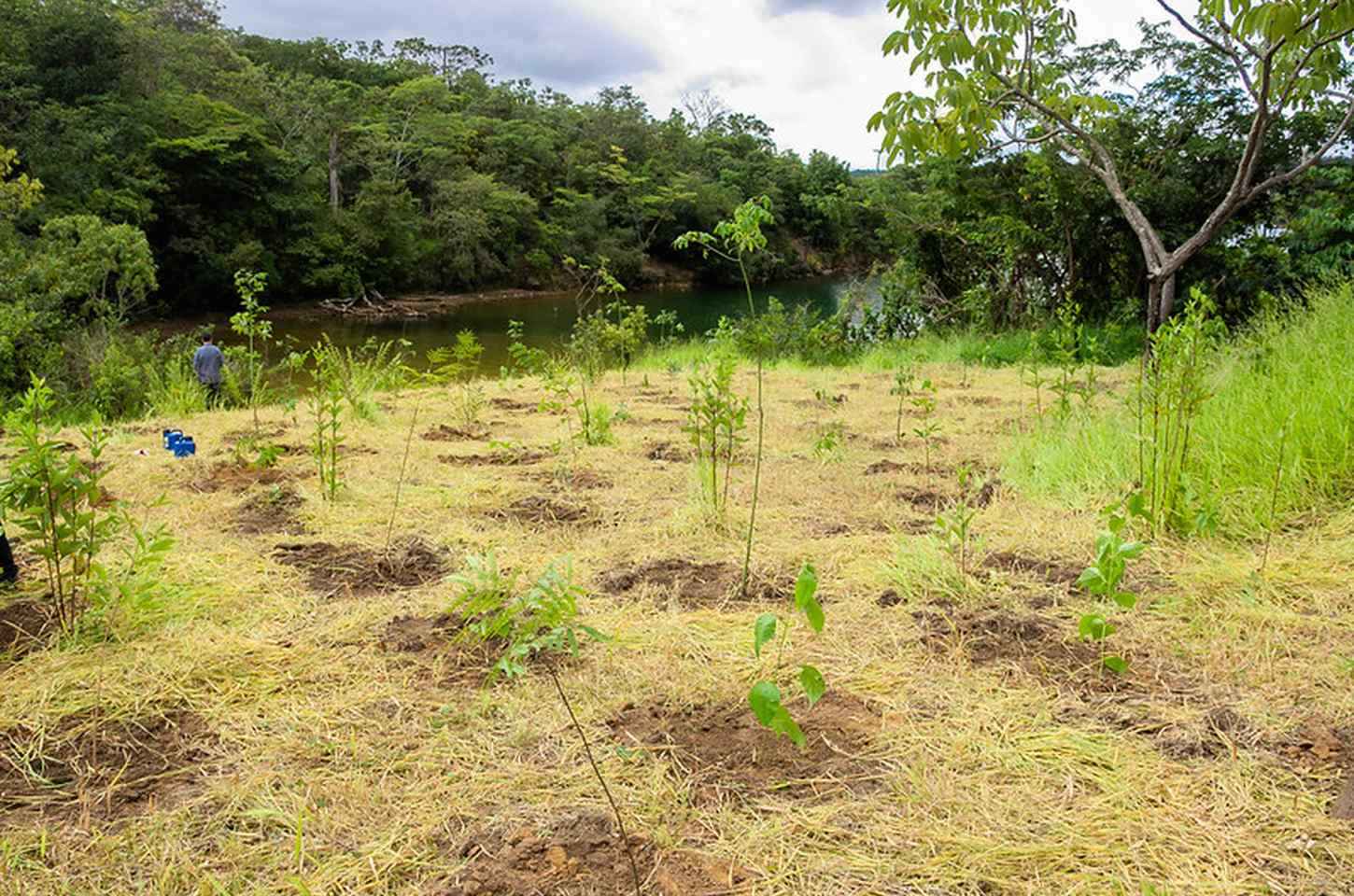 Parque da Serrinha do Paranoá não protege área dada como garantia ao BRB