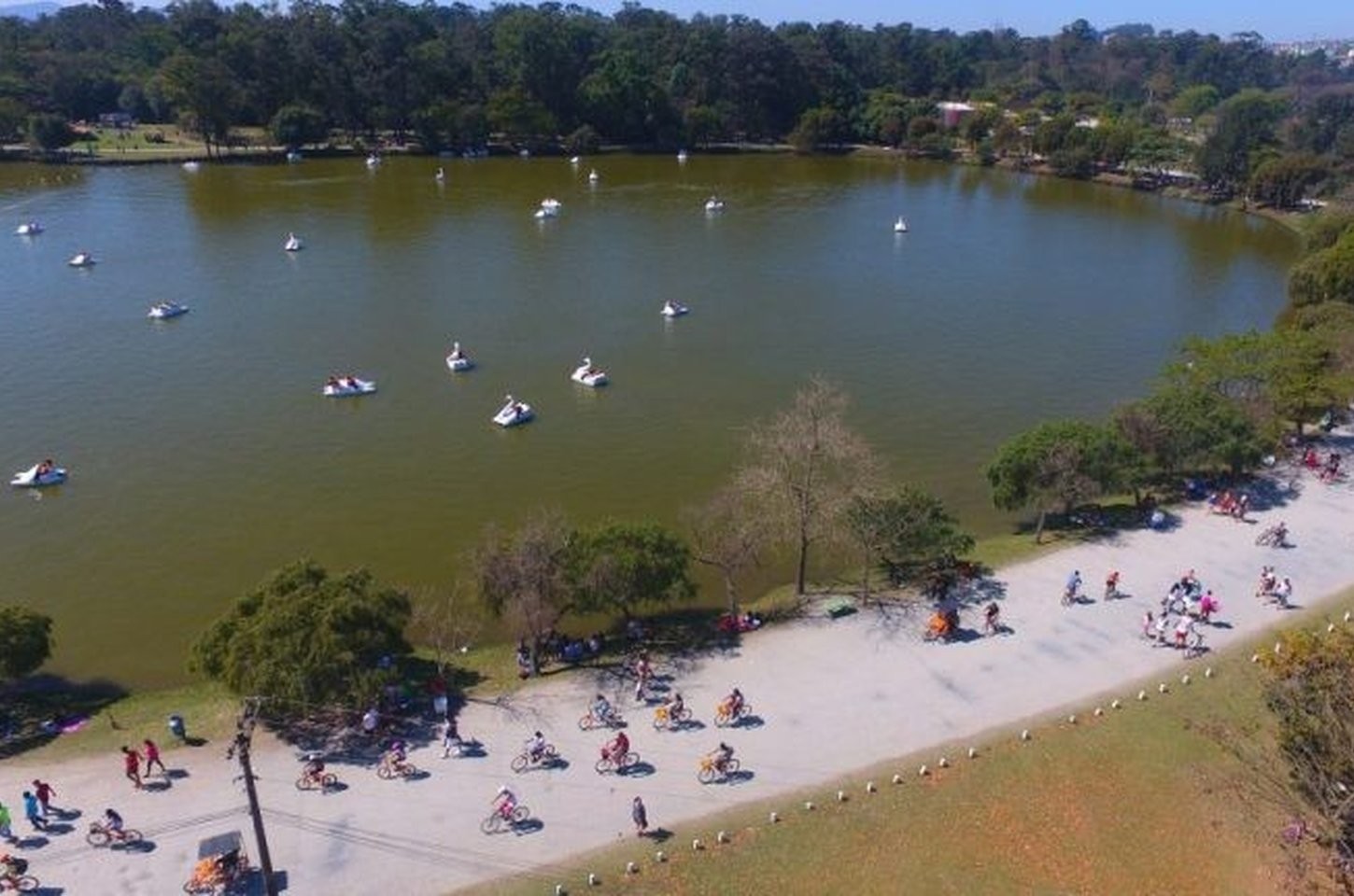 Parques de SP oferecem programação de férias gratuita para famílias