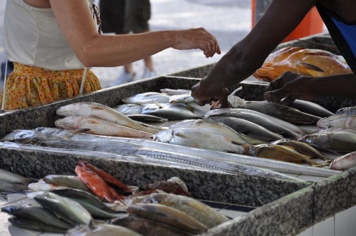 Páscoa: CVS-SP alerta para cuidados na compra de peixes