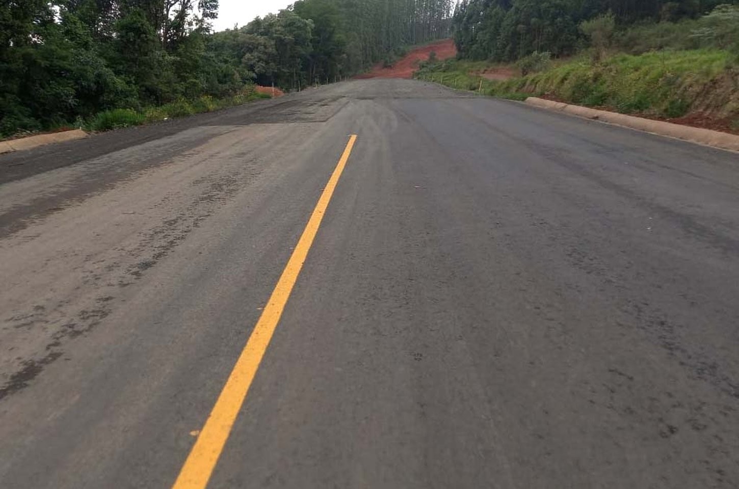 Pavimentação da PR-160 entre Imbaú e Reserva avança com licitação