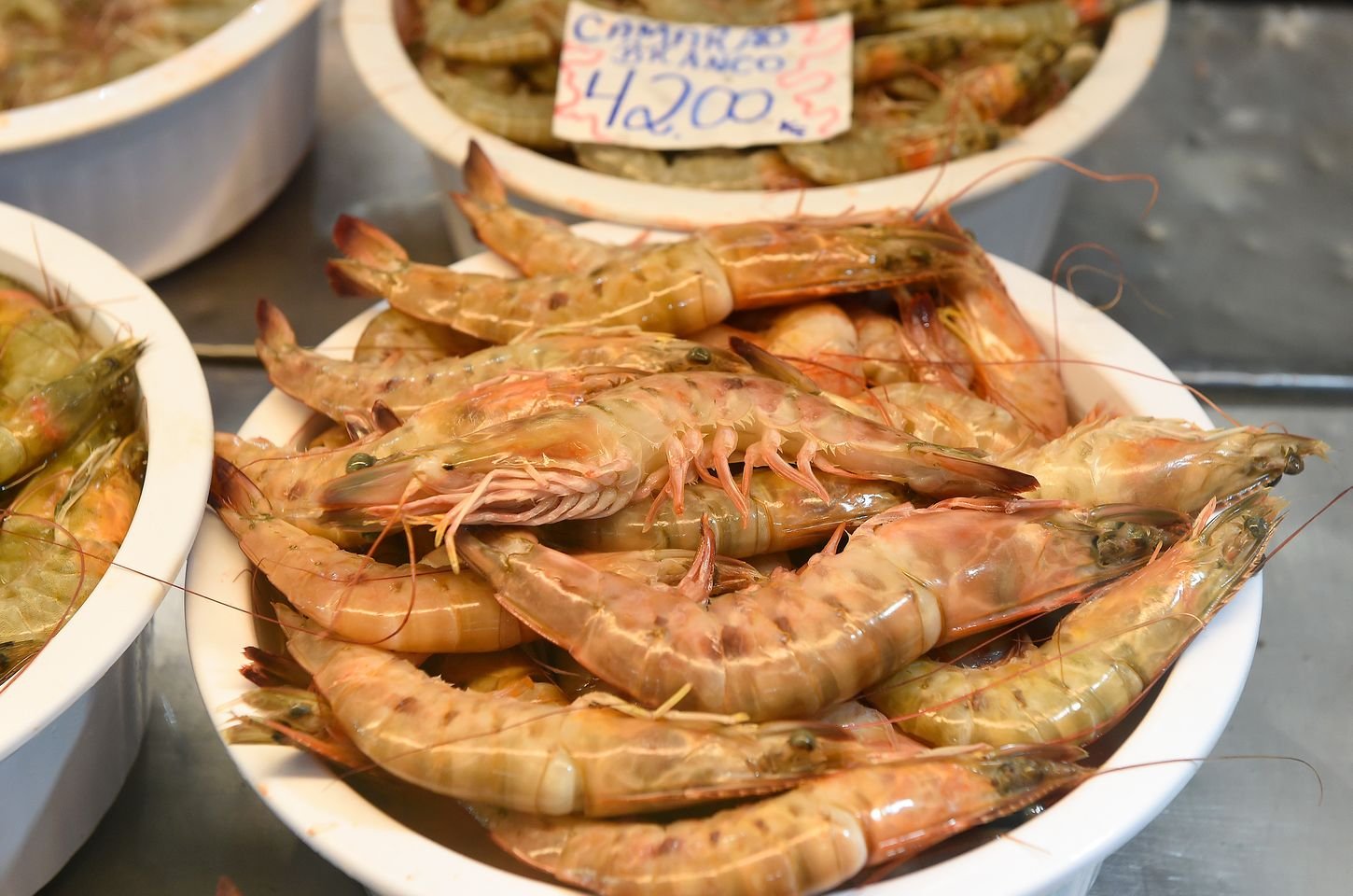 Pesca de camarão é liberada no Paraná a partir desta sexta-feira (1º)