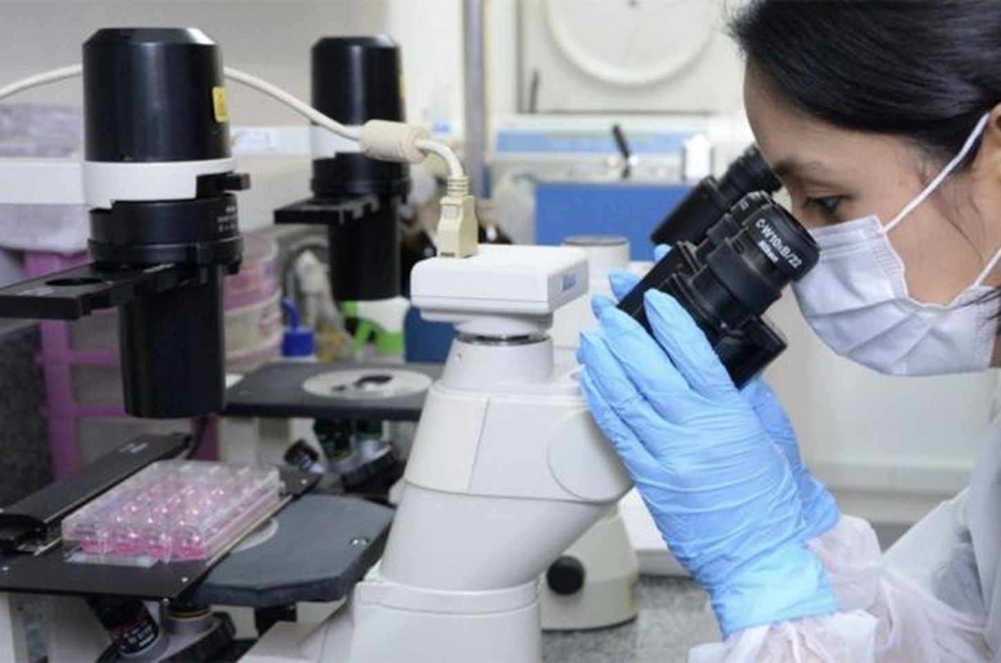 Pesquisa brasileira descobre milhares de novos genes em verme da esquistossomose