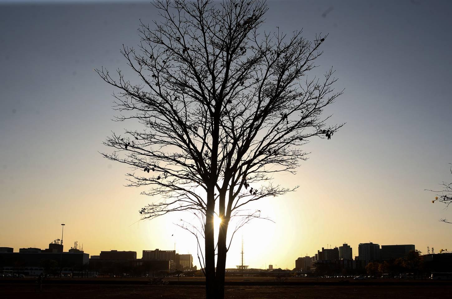 Pesquisadoras da Uerj integram seleto grupo do IPCC da ONU