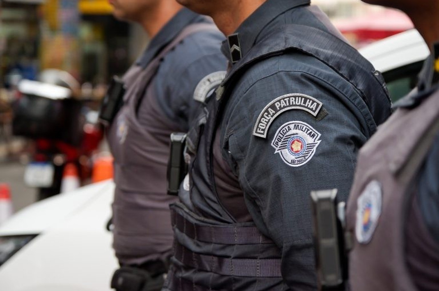 PM descobre canil clandestino com 12 cães em situação de maus-tratos em SP