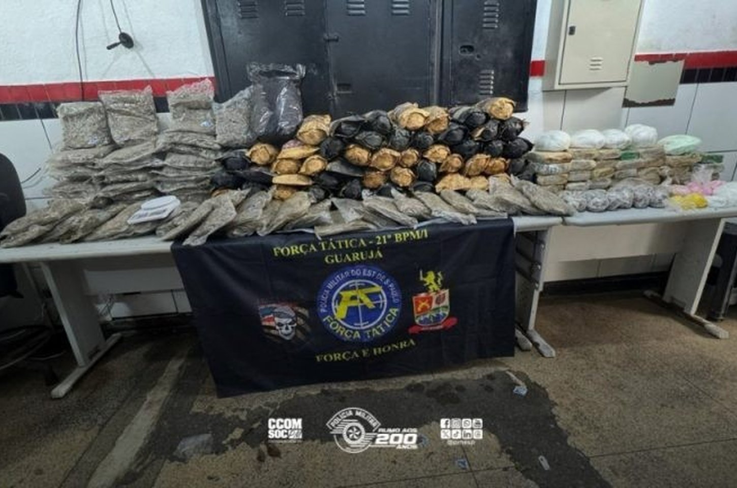 Polícia apreende mais de 100 quilos de drogas enterradas em mata no Guarujá