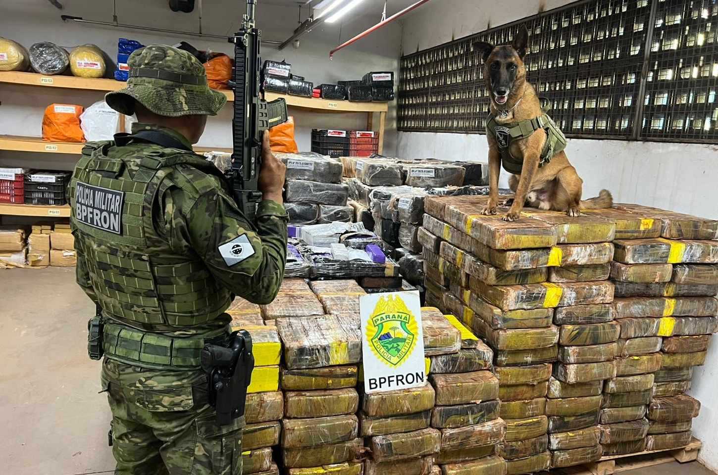 Policiais e cão farejador apreendem 1,5 tonelada de maconha no Oeste do Paraná