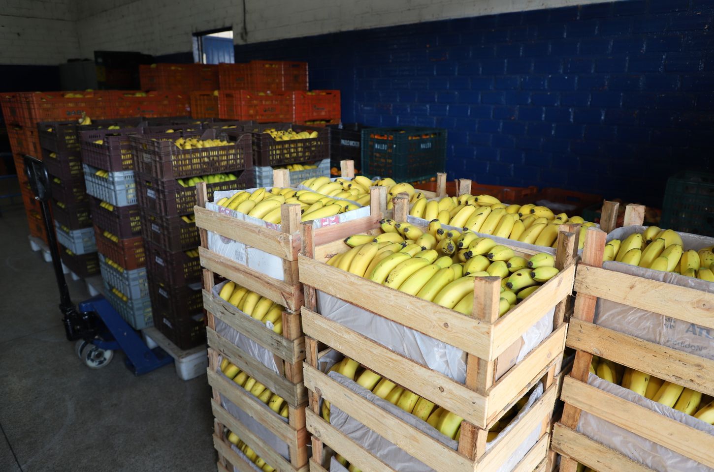 Preços de alimentos e bebidas caem no Paraná em novembro