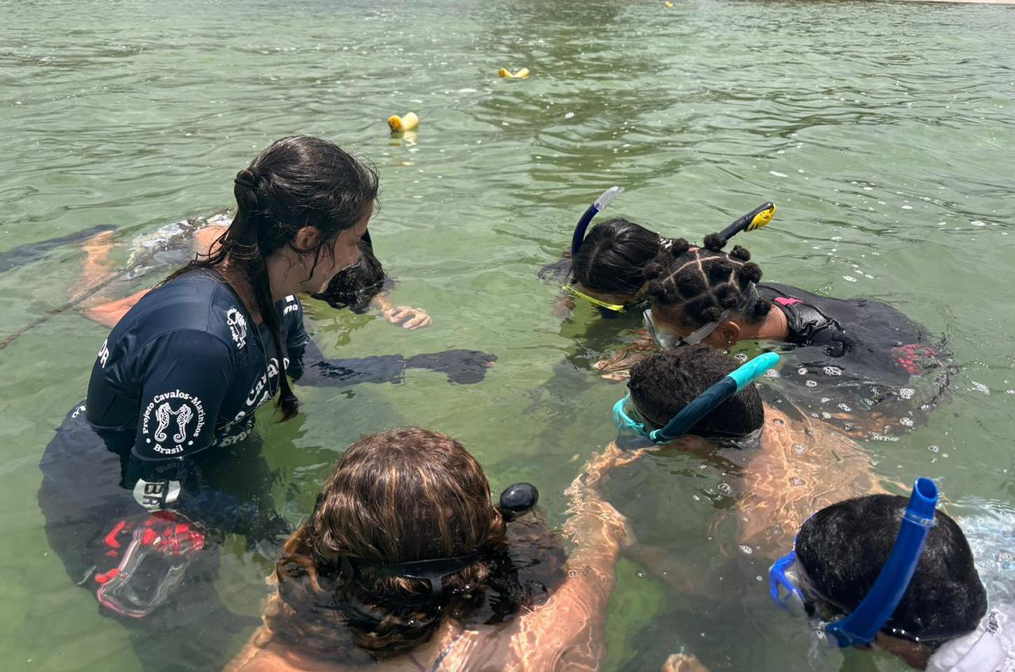 Primeira turma de guardiões dos cavalos-marinhos se forma no Rio