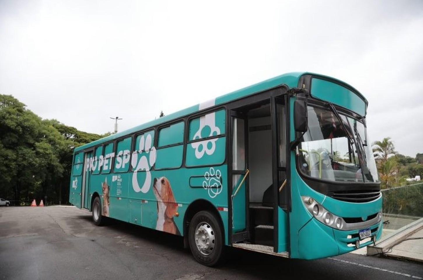 Pro Pet SP inicia nova etapa de castrações gratuitas na Grande SP