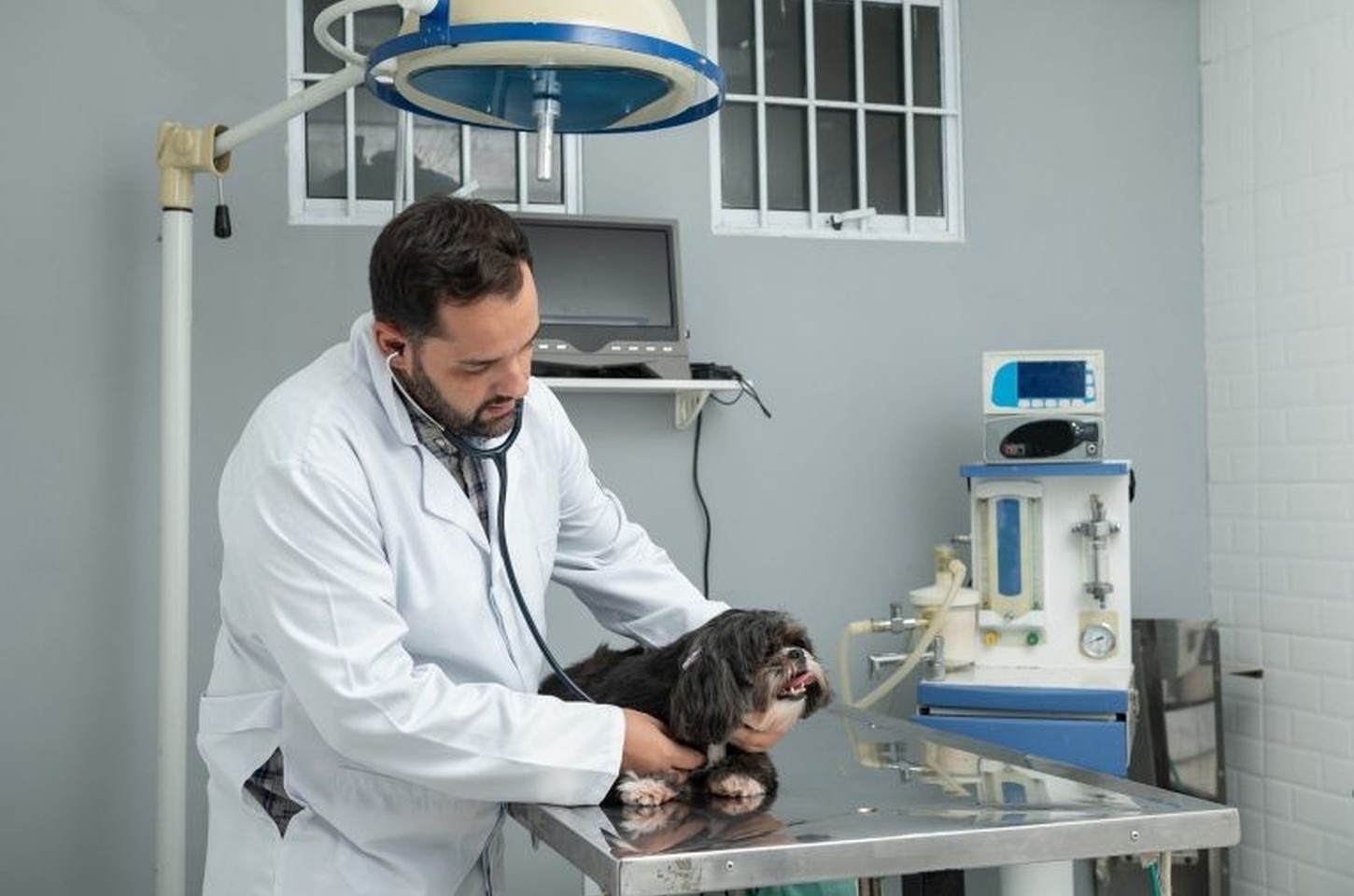 Pro Pet SP leva mutirões de castração gratuita a Campinas