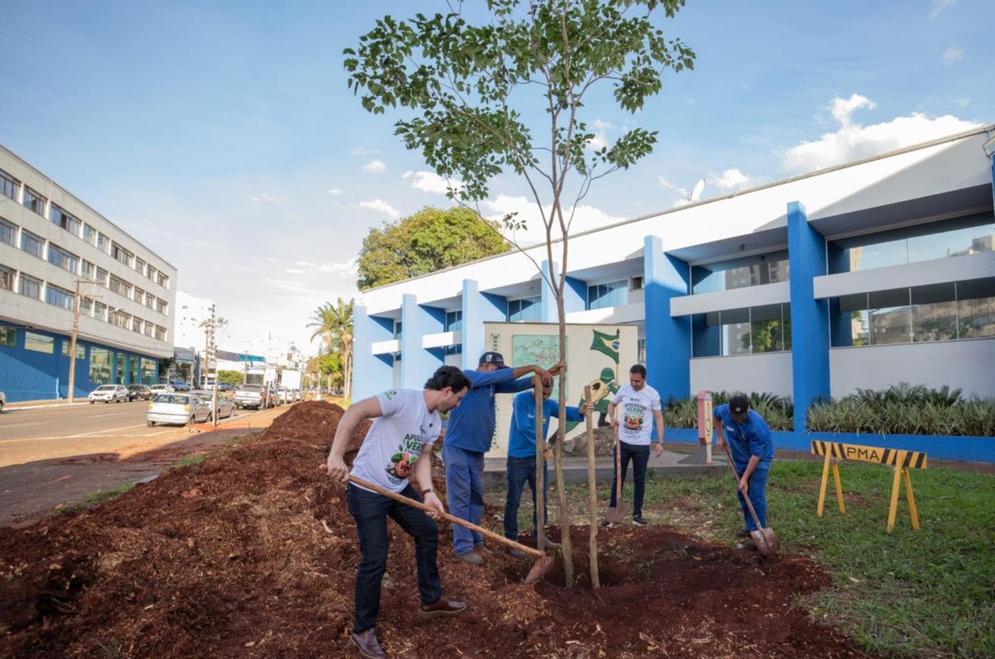 Programa Apucarana mais Verde e Sustentável prevê plantio de 4 mil árvores