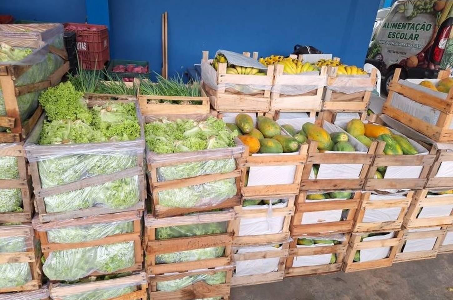 Programa de Aquisição de Alimentos distribui 12 toneladas em SP