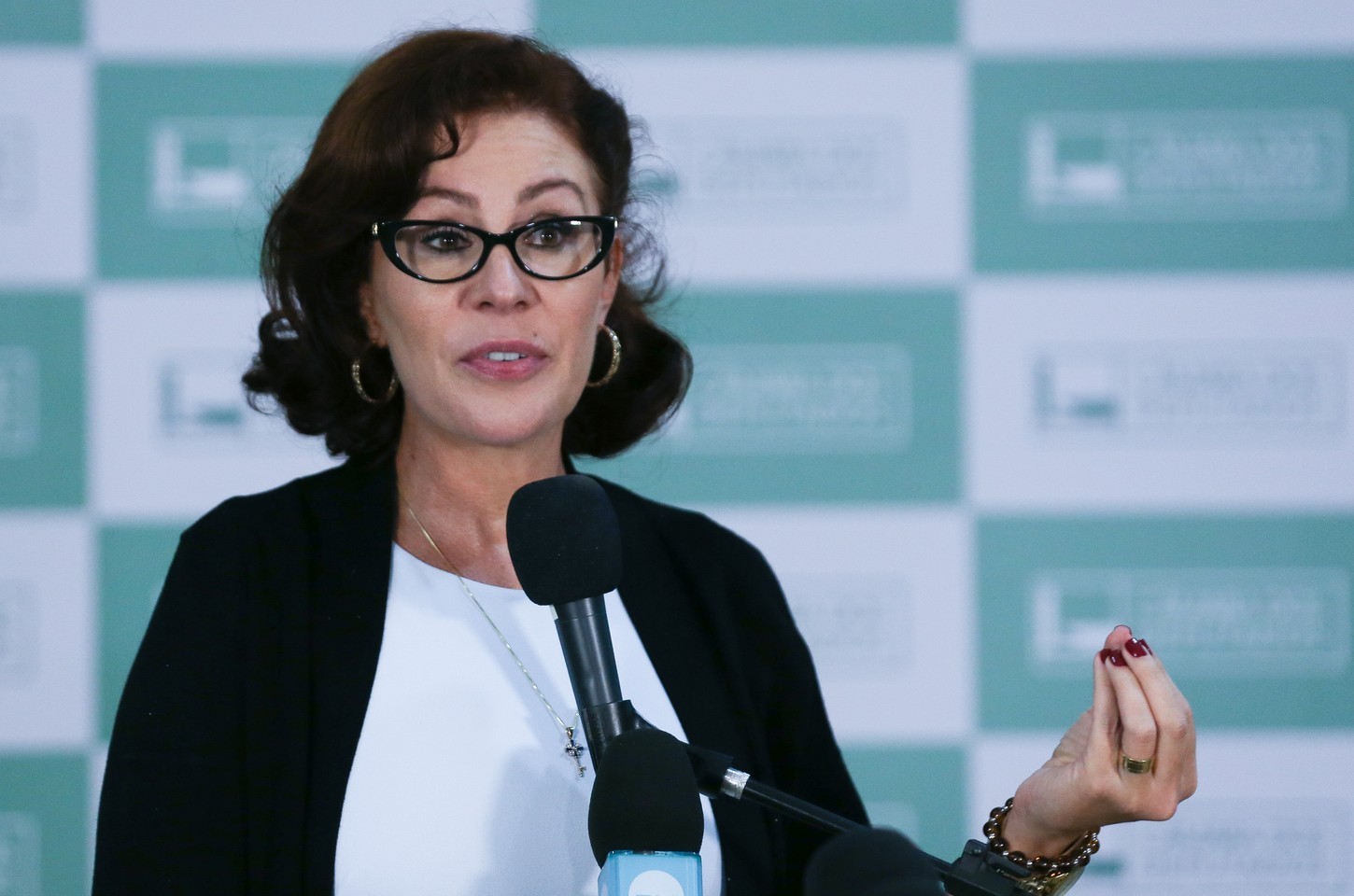 Relator na CCJ se posiciona contra cassação de Carla Zambelli