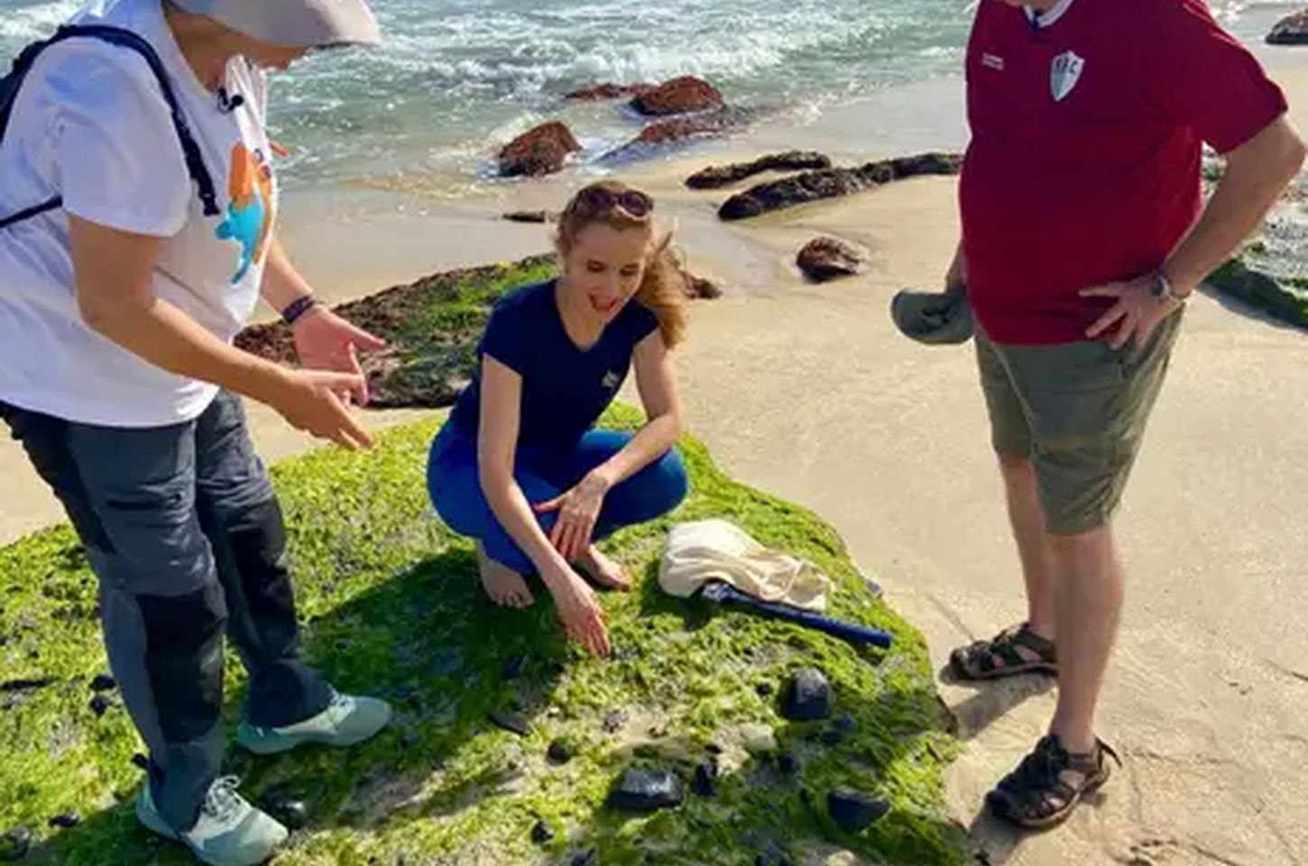 Restinga de Jaconé: riqueza ambiental ameaçada por porto há 15 anos