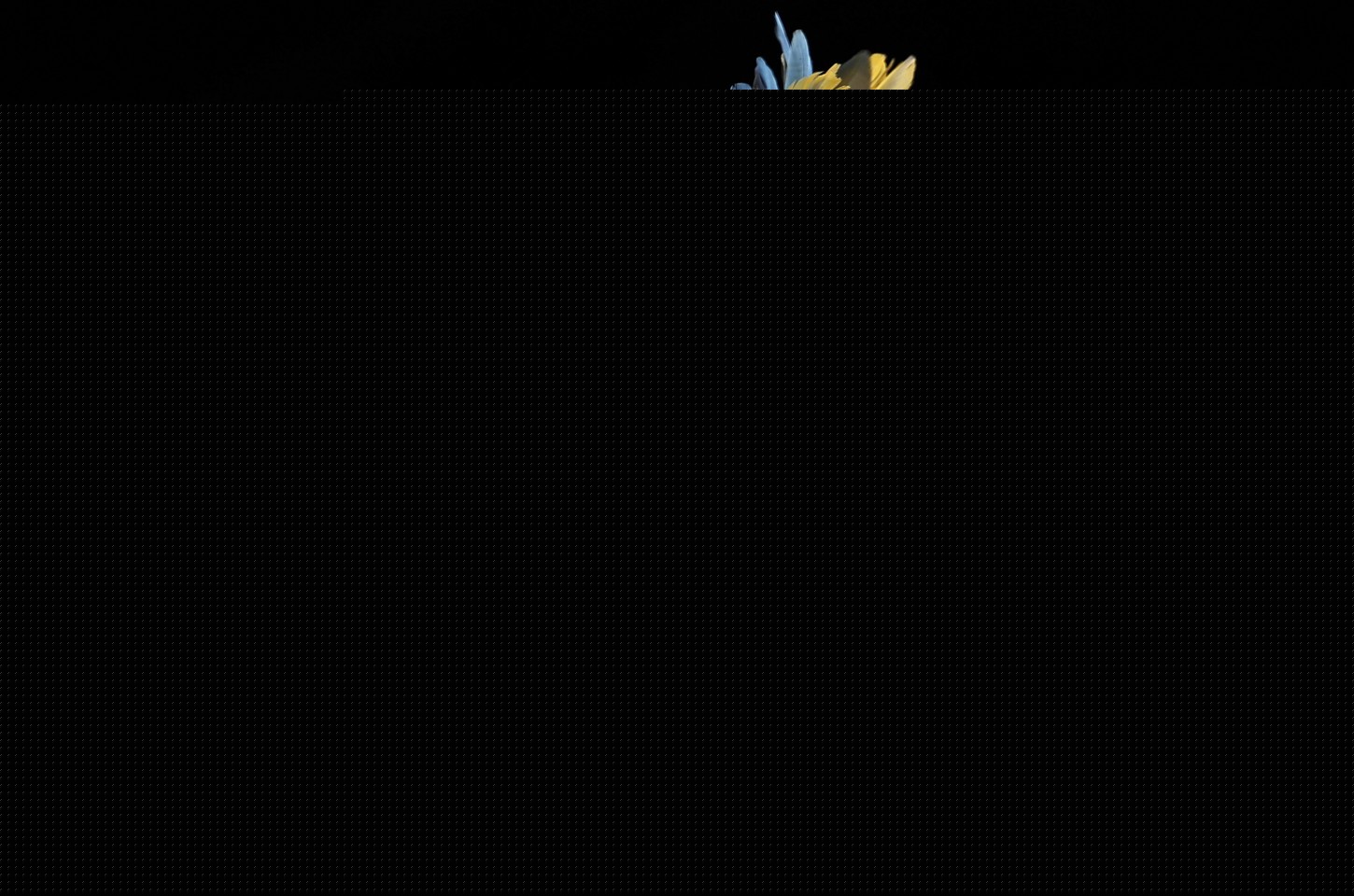 Retrospectiva fotográfica de 2025: o Brasil em imagens