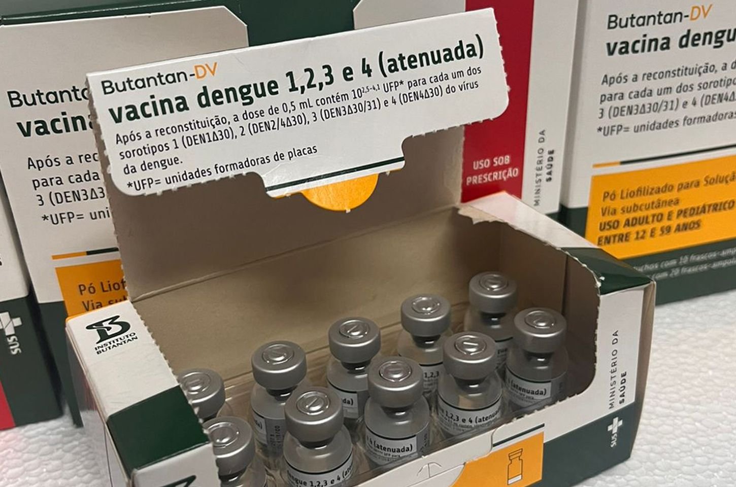 Rio de Janeiro começa a receber nova vacina contra a dengue