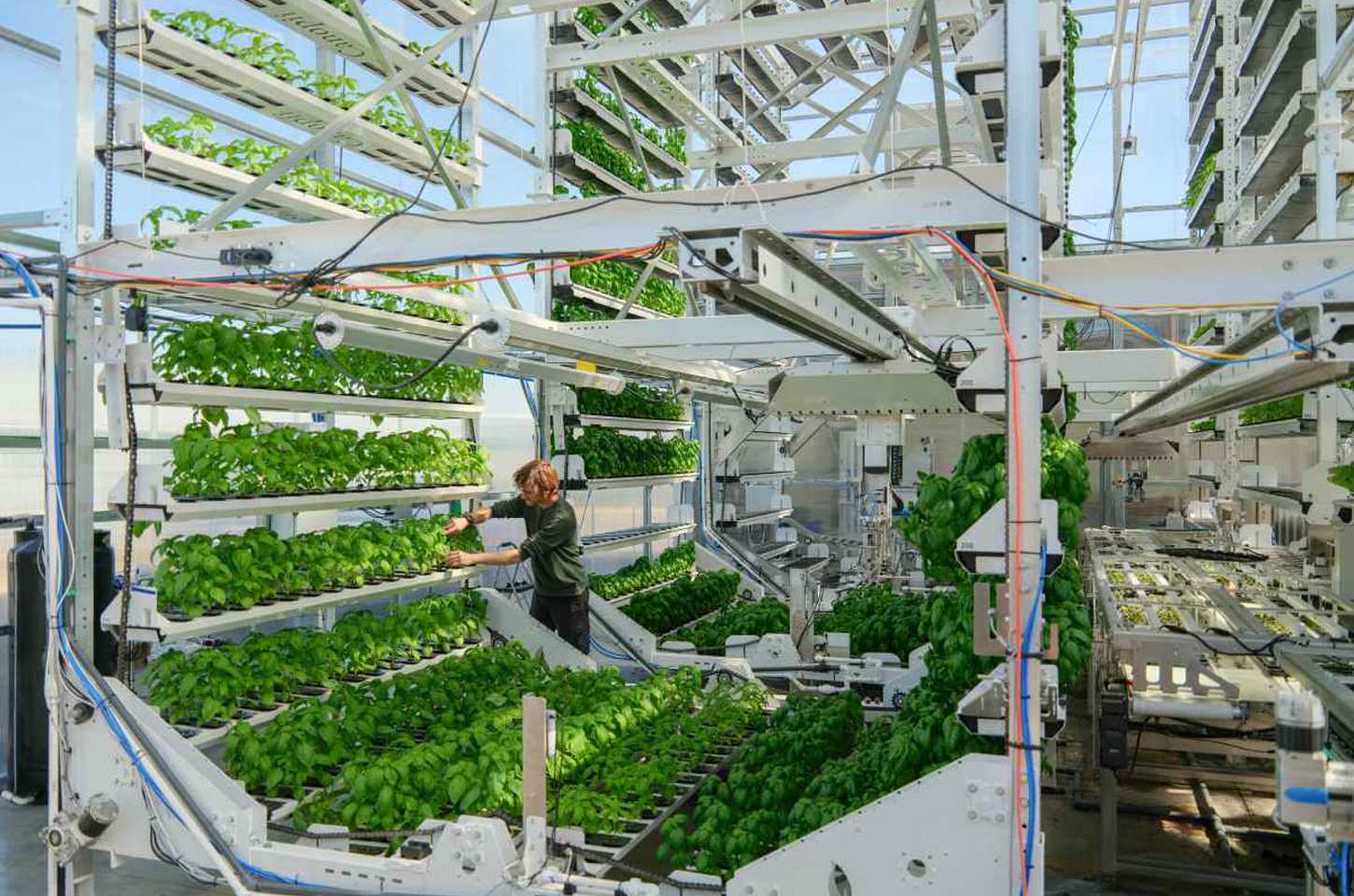Robôs na Agricultura: Startup Transforma Experiência de Seca em Fazendas Autônomas
