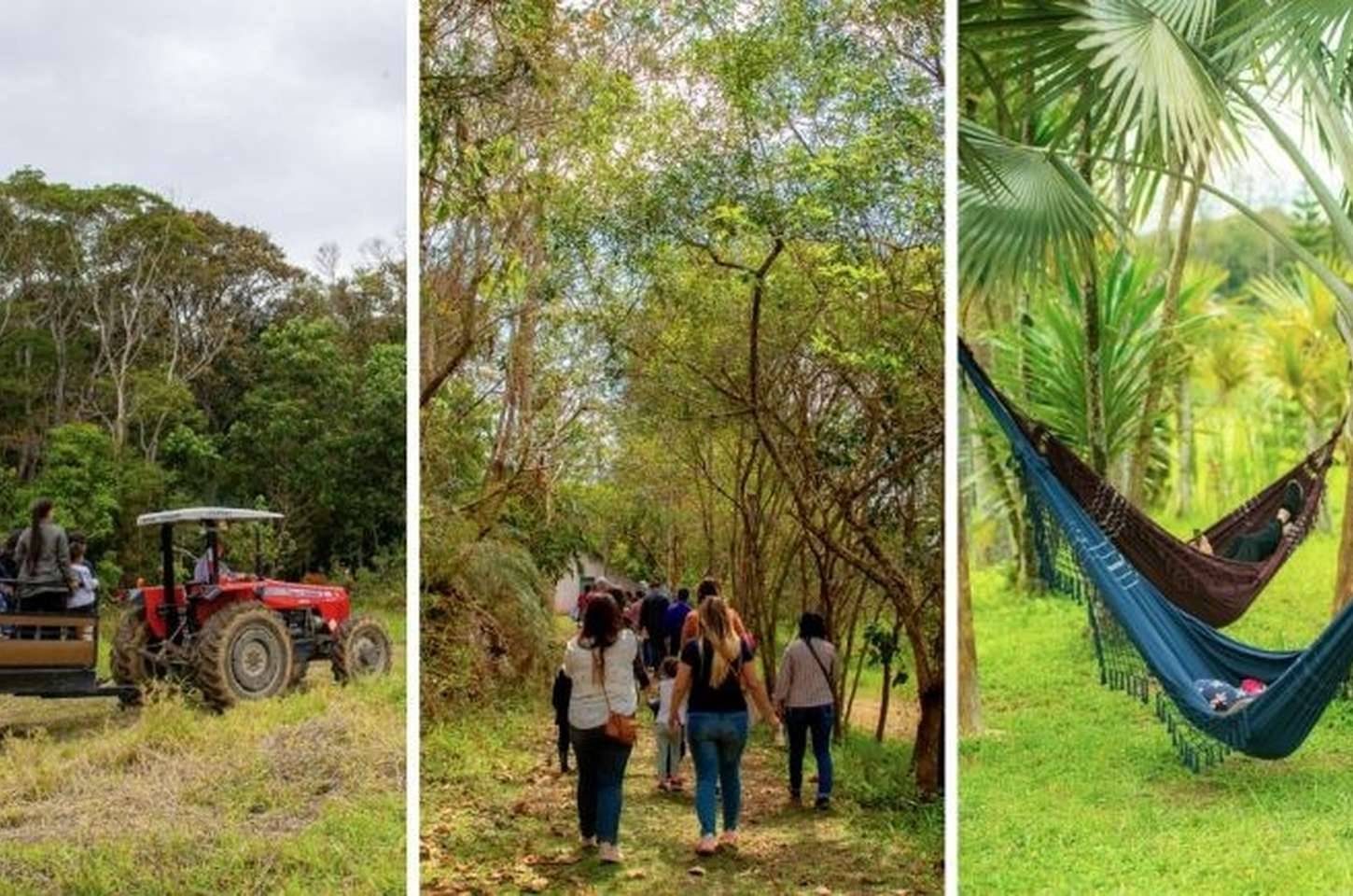 São Paulo celebra aniversário com economia diversificada e sustentável