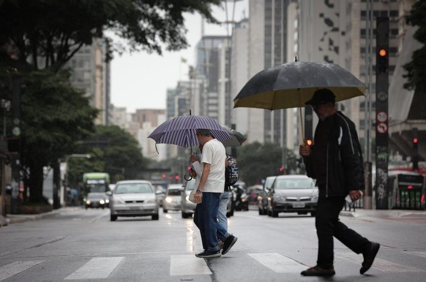 São Paulo em alerta para tempestades intensas até sexta-feira