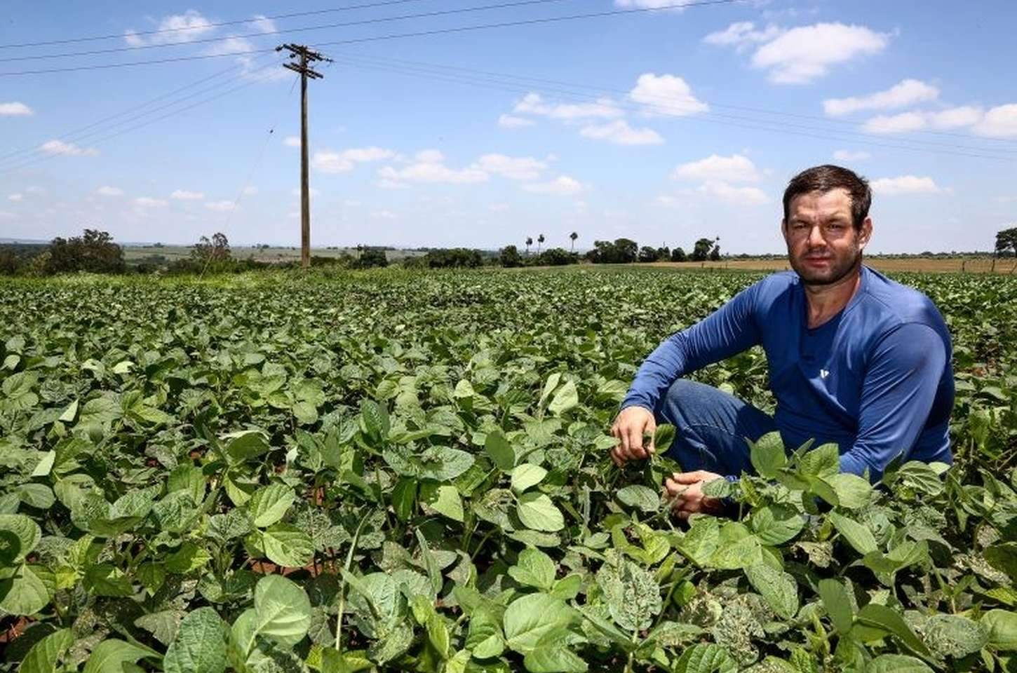 São Paulo investe R$ 290 milhões no Seguro Rural em três anos