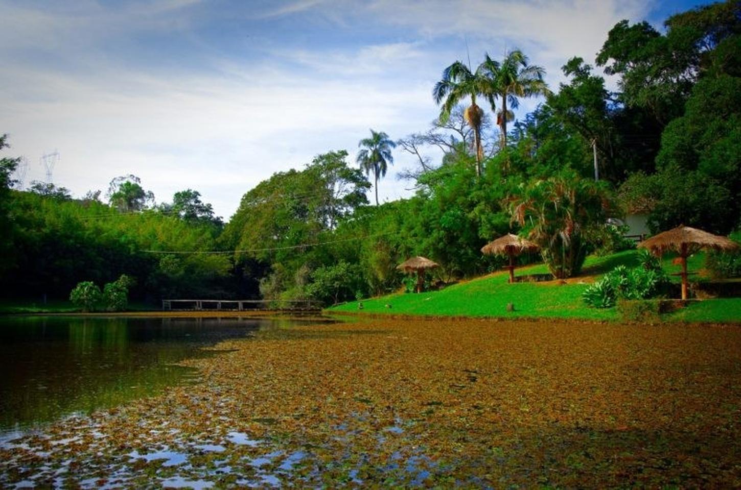 São Paulo lança Rotas da Cachaça para valorizar destilado nacional
