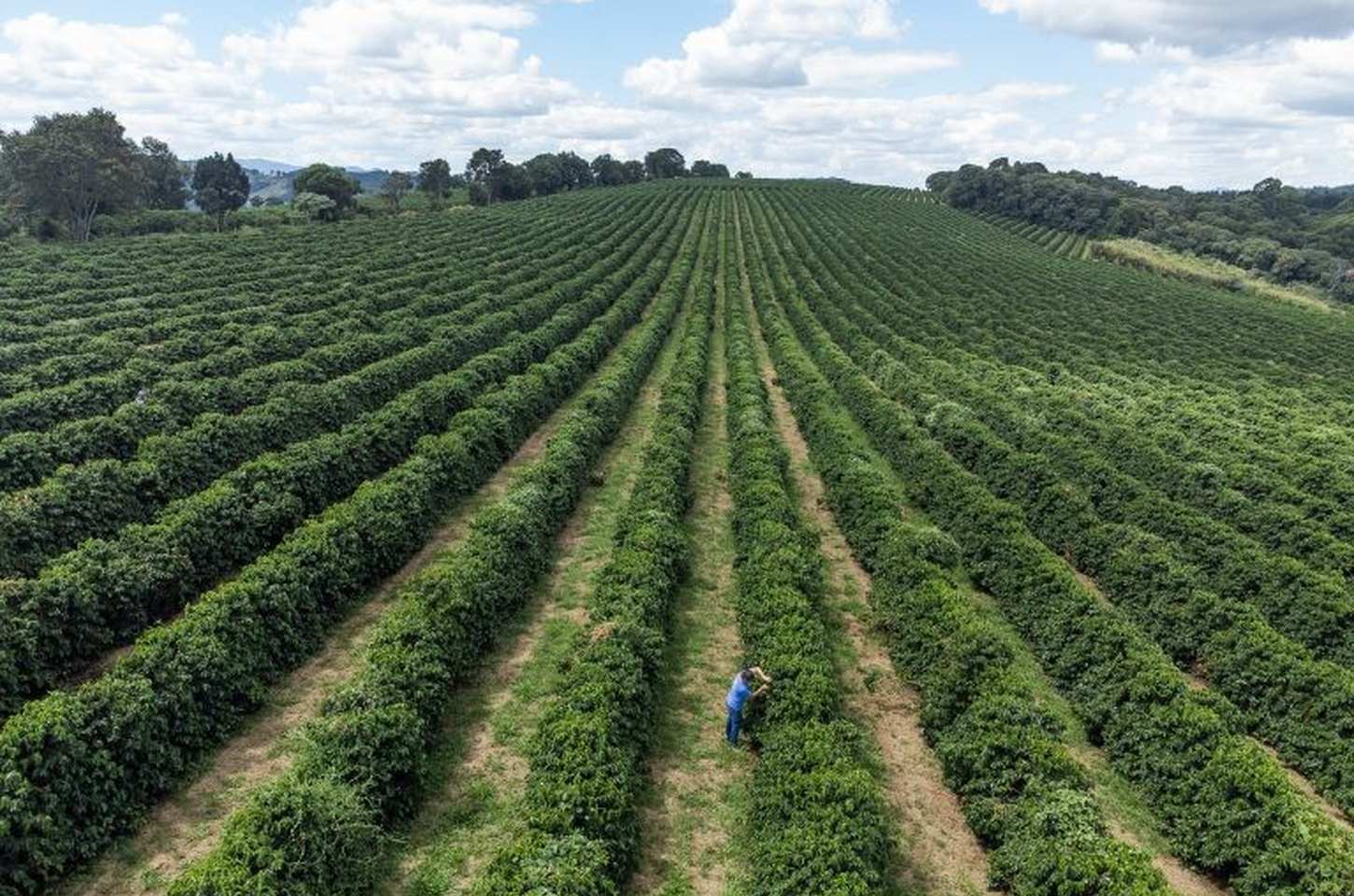 São Paulo moderniza Cadastro Ambiental Rural com sistema online