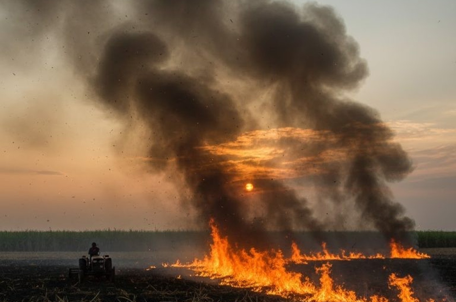São Paulo reduz queimadas em 91% em 2025, mesmo com clima crítico