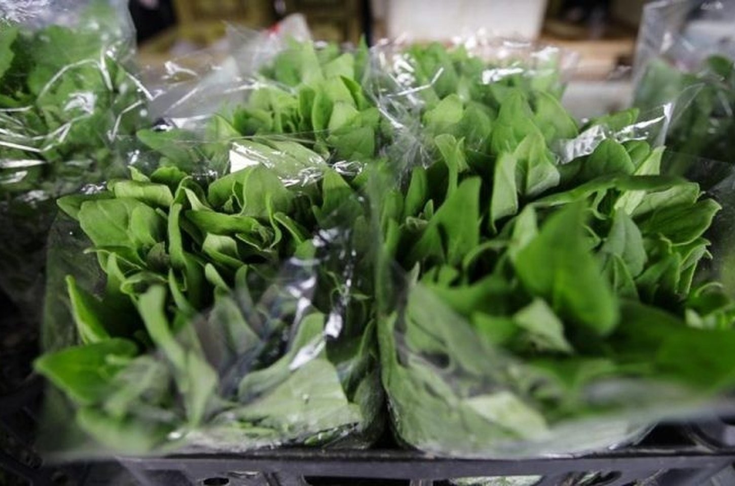 São Paulo regulamenta sistema estadual de inspeção de produtos vegetais