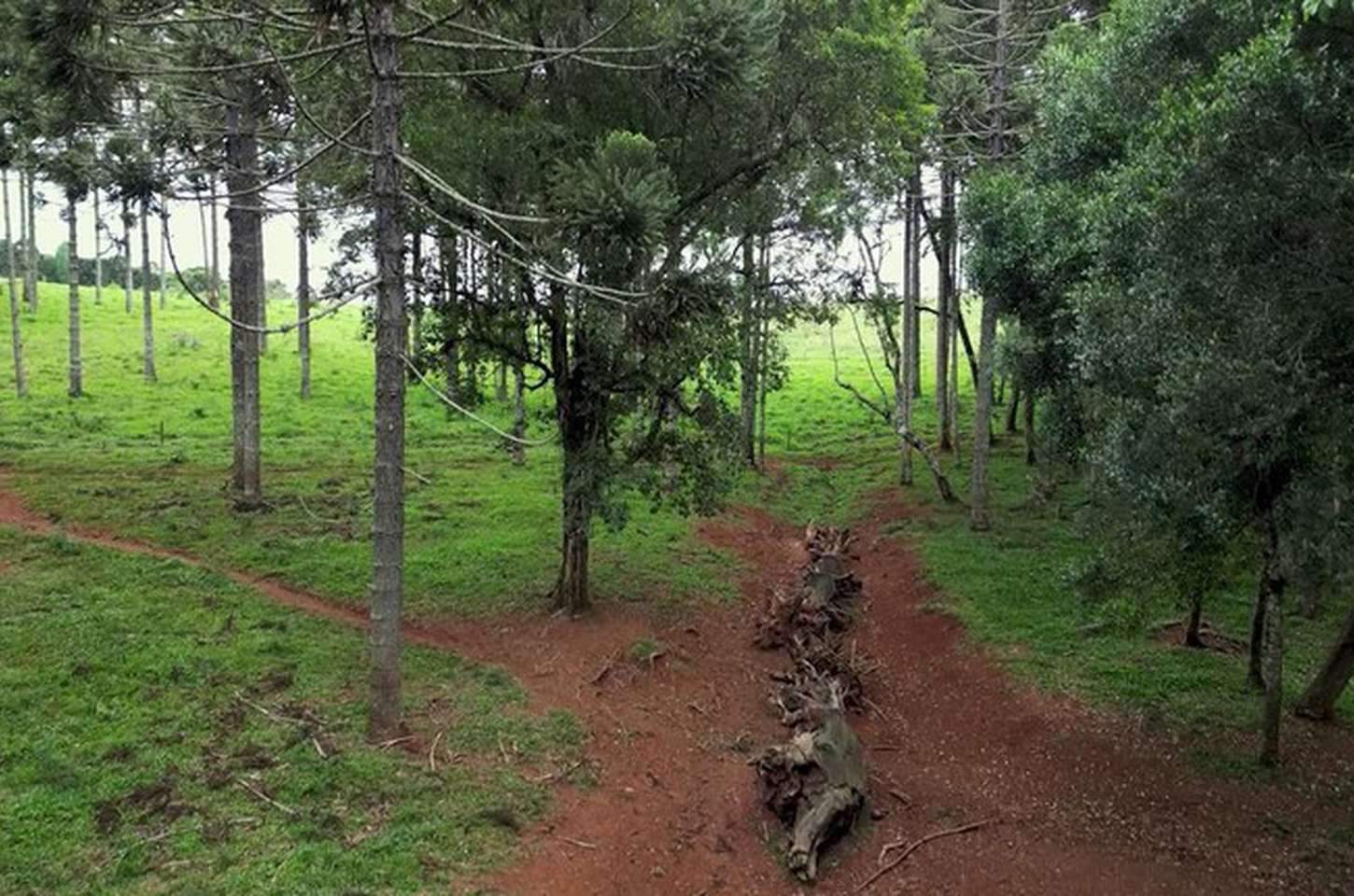 Série Olhar Brasil revela os mistérios do Caminho do Peabiru