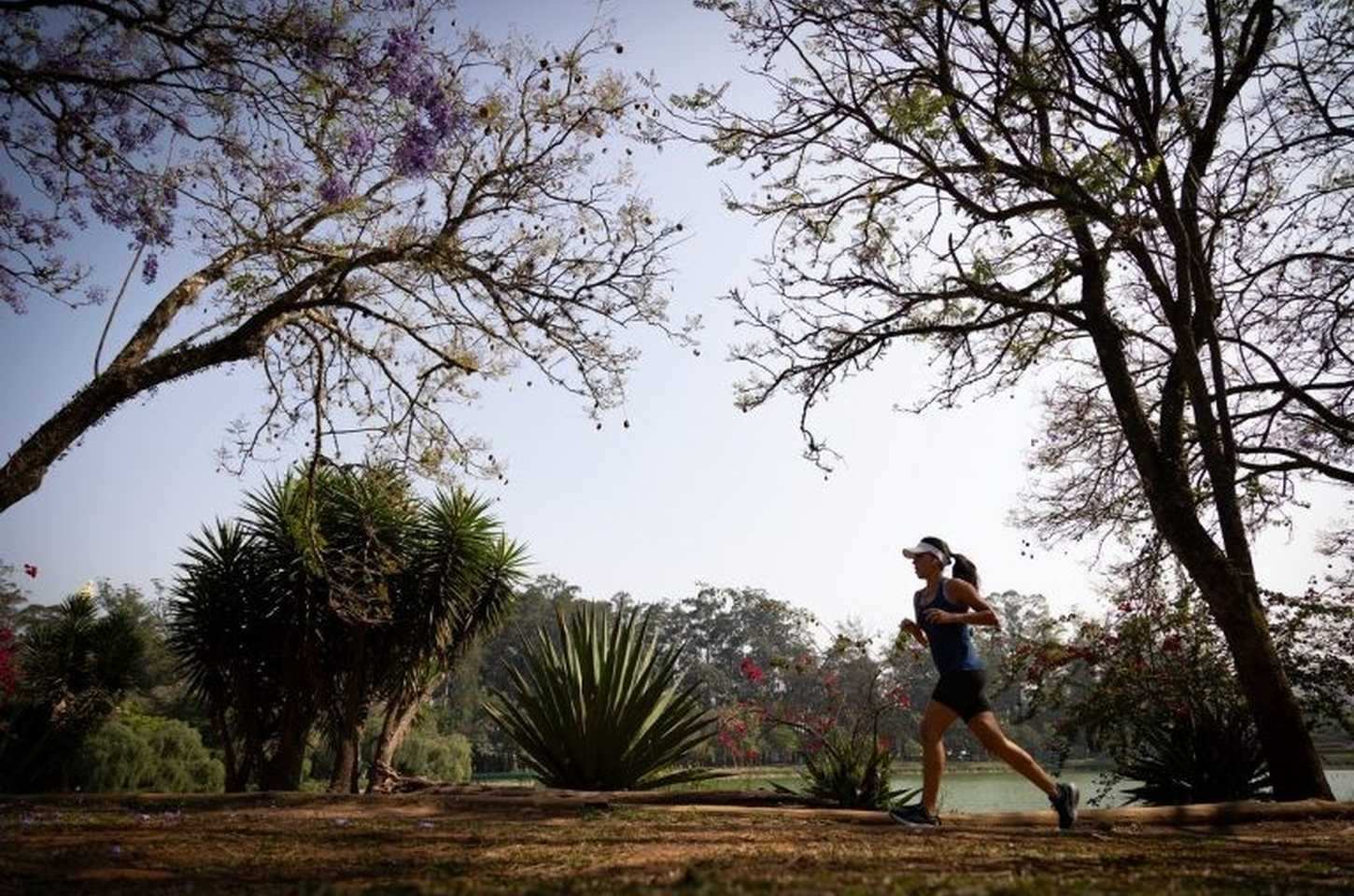 Sexta-feira de calor abafado e pancadas de chuva em SP