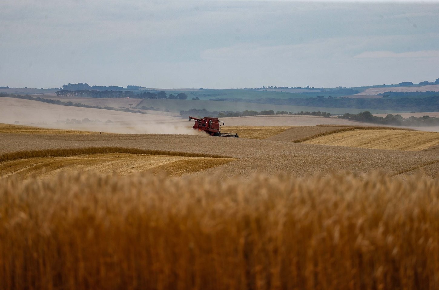 Soja e milho garantem safra robusta no Paraná, aponta Deral