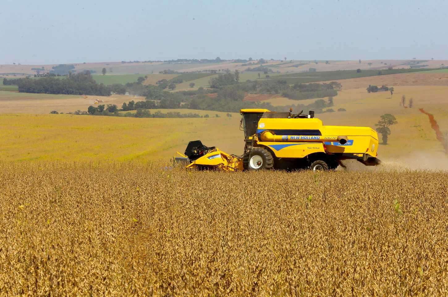 Soja paranaense caminha para safra recorde e impulsiona agronegócio