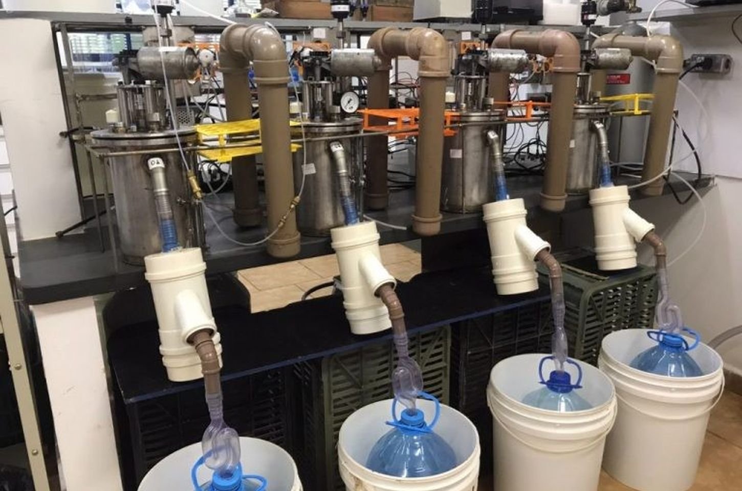 Tecnologia brasileira reduz emissões de metano na pecuária em até 75%