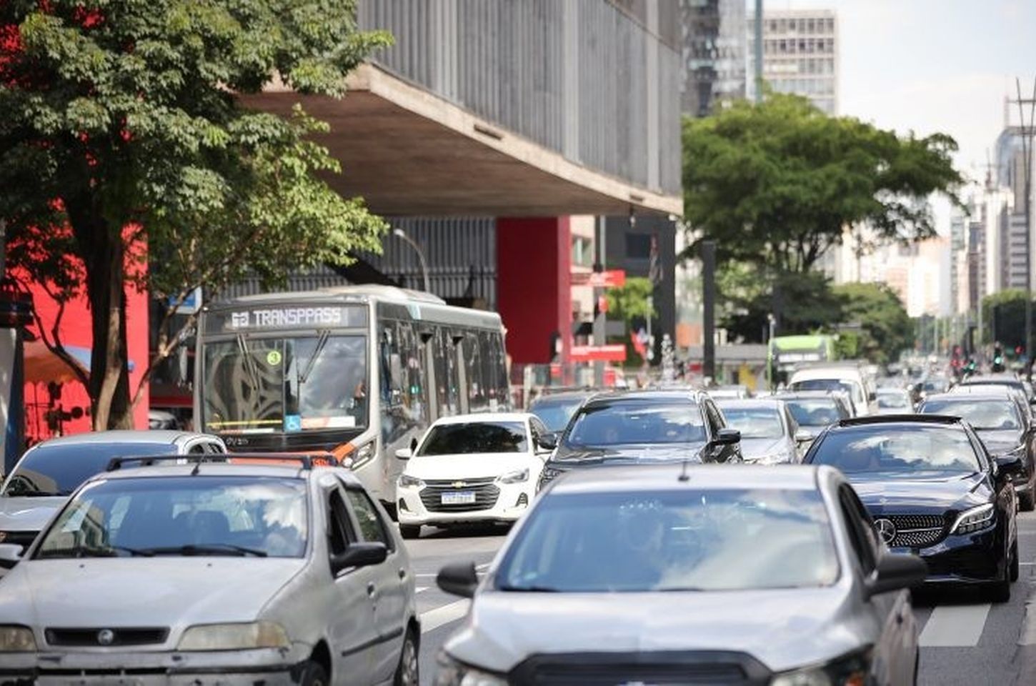 Tempo em SP: calor, sol e chuvas isoladas neste sábado