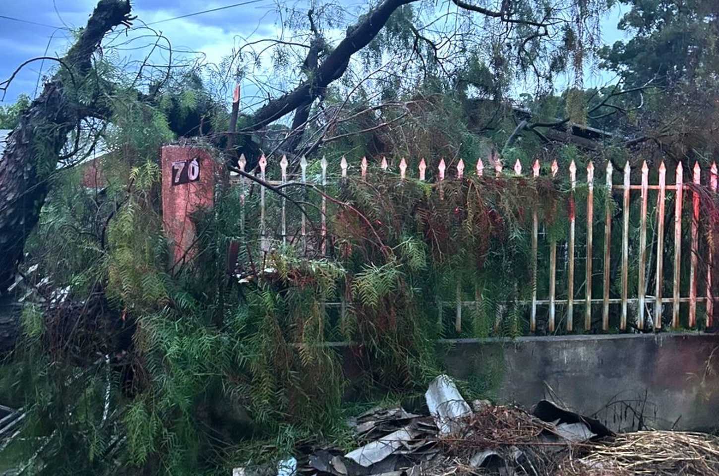 Temporal causa inundações e quedas de árvores em Apucarana; Defesa Civil atende ocorrências